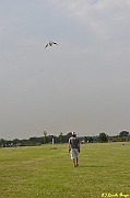 Parco San Giuliano  - 427